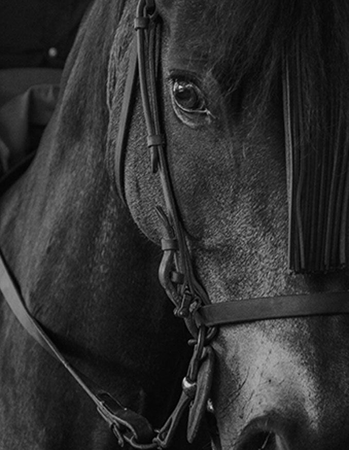 Gamme Bien-être Intolérance